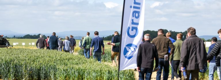 The Arable Event