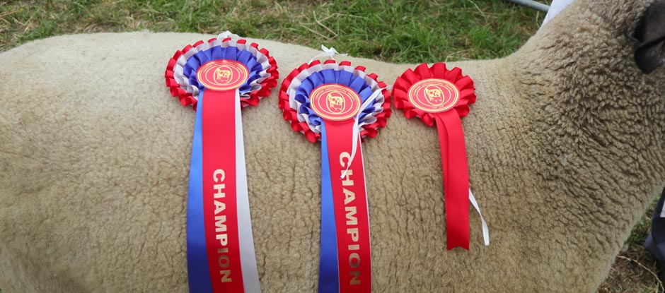 Lampeter Show