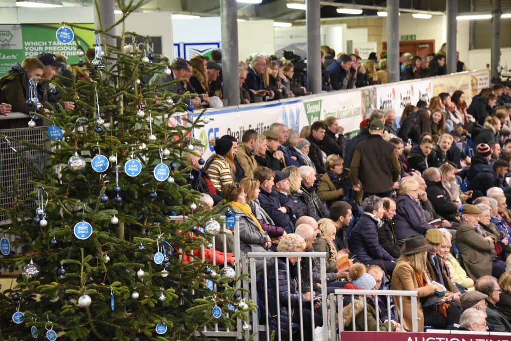 Royal Welsh Show Winter Fair