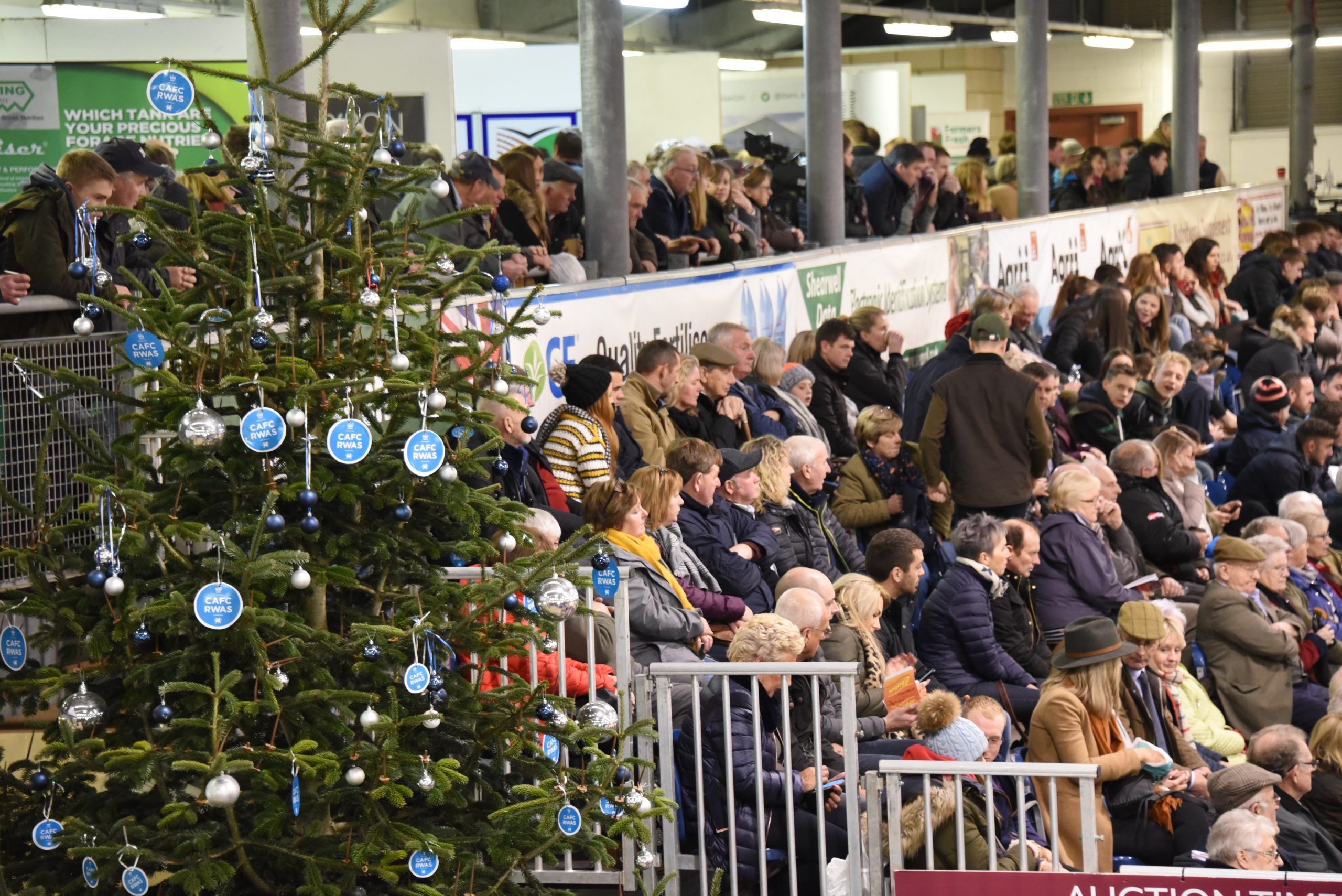 Royal Welsh Show Winter Fair