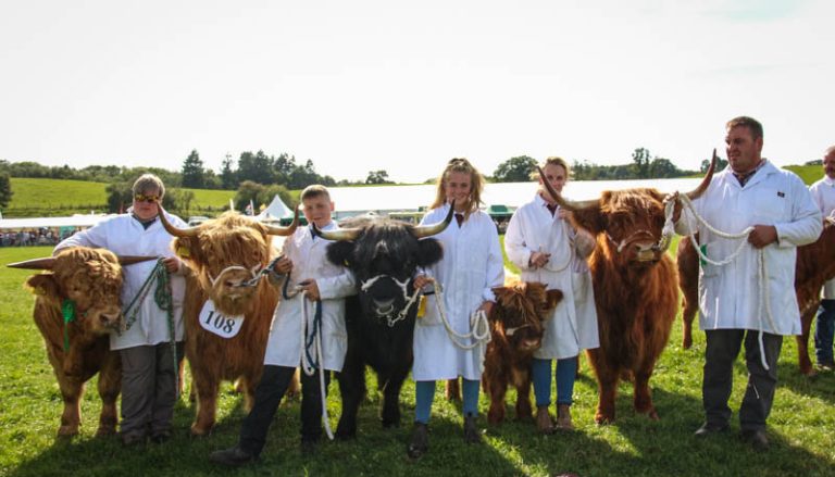 Kington Show