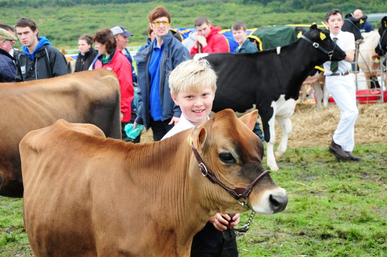 Llandyfaelog Show 