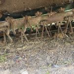 John Deere 331 (2018) thumbnail 6