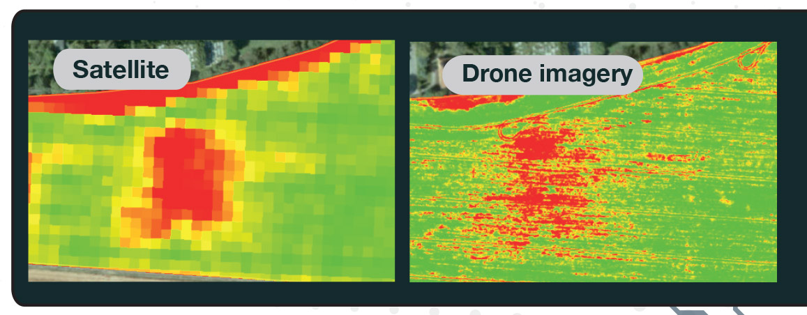 Satellite vs Drone imagery comparison