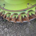 Claas Orbis 10 Row (2018) thumbnail 4