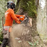 Husqvarna 592 XP thumbnail 2
