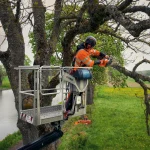 Husqvarna 540 XP Mark III thumbnail 2