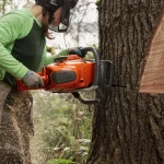 Husqvarna 592 XP thumbnail 3