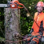 Husqvarna 545 Mark II thumbnail 2