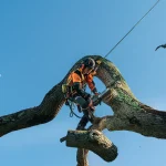 Husqvarna T540i XP G thumbnail 2
