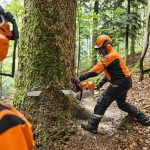 MS 881 Petrol Chainsaw thumbnail 2