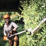 HLA 140 Cordless Long-reach Hedge Trimmer – ALLPRO System thumbnail 4