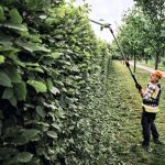 HLA 150 Cordless Telescopic Long-reach Hedge Trimmer – ALLPRO System thumbnail 3