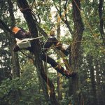 MSA 190 T Cordless Chainsaw - ALLPRO System thumbnail 2