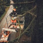MSA 190 T Cordless Chainsaw - ALLPRO System thumbnail 3
