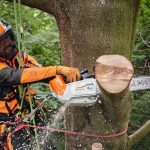 MSA 220 T Cordless Chainsaw - ALLPRO System thumbnail 2