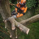 MSA 220 TC-O Cordless Chainsaw - ALLPRO System thumbnail 3