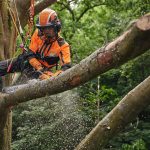 MSA 220 TC-O Cordless Chainsaw - ALLPRO System thumbnail 4