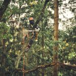 MSA 220.1 TC-O Cordless Chainsaw - ALLPRO System thumbnail 4