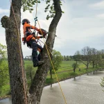 Husqvarna T540 XP® Mark III thumbnail 3