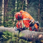 Husqvarna 560 XP G Mark II thumbnail 2