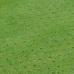 GreenTek Sarel-Roller thumbnail 3