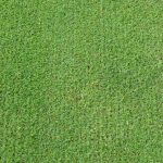 GreenTek Thatch-Away Micro-Groomer thumbnail 3