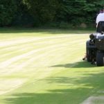 GreenTek Thatch-Away Topdressing-Brush thumbnail 3