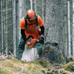 Husqvarna 572 XP thumbnail 3